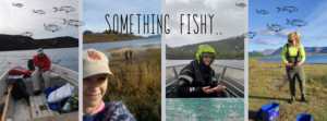 Collage of the founders of Ice Fish Research - something fishy...