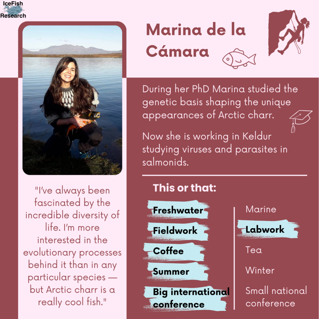 Celebrating Marina de la Cámara