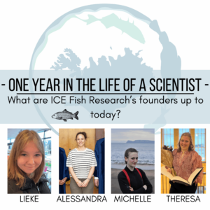 12 months in the life of a scientist