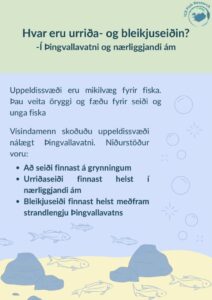 Hvar eru urriða- og bleikjuseiðin?