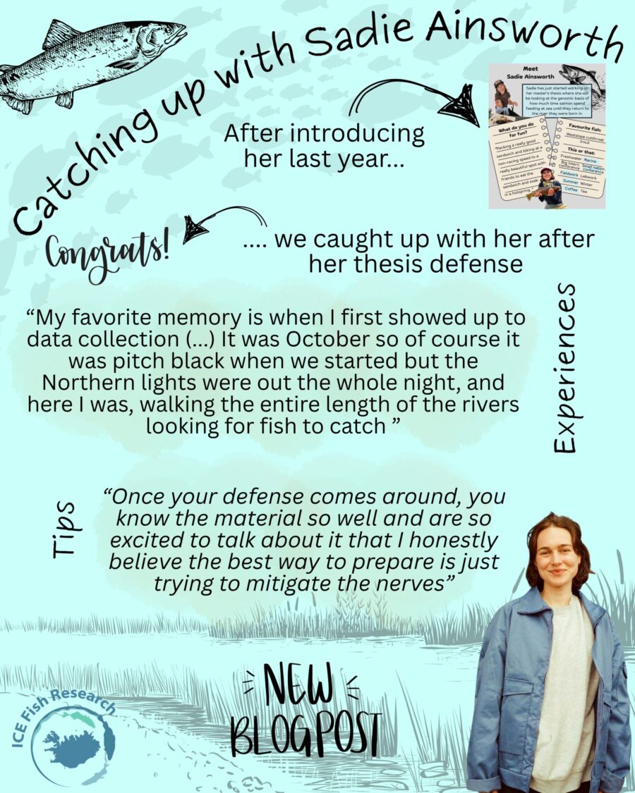 Writing a master’s thesis in Iceland – Sadie’s experie