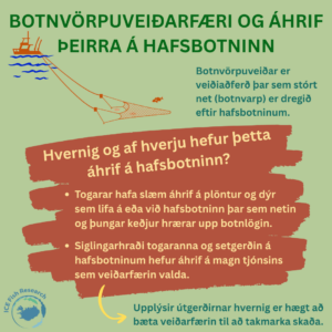 Botnvörpuveiðar og áhrif þeirra á hafsbotninn