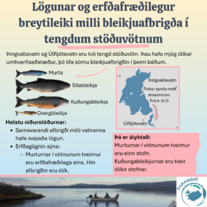 Lögunar og erfðafræðilegur breytileiki milli bleikjuafbrigða í tengdum stöðuvötnum