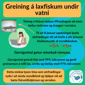 Greining á laxfiskum undir vatni
