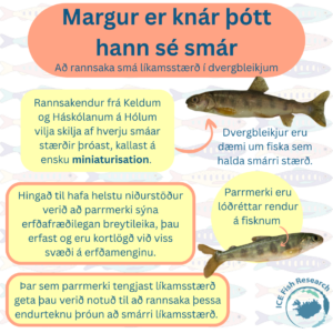 Margur er knár þótt hann sé smár