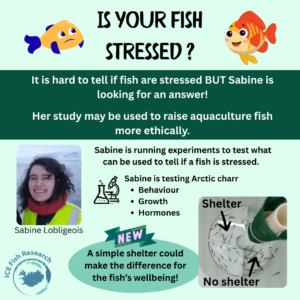 Is your fish stressed?