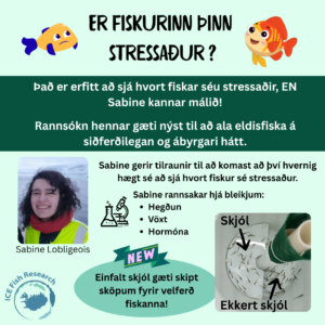 Er fiskurinn þinn stressaður?